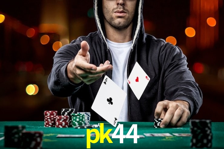 pk44 App Interface